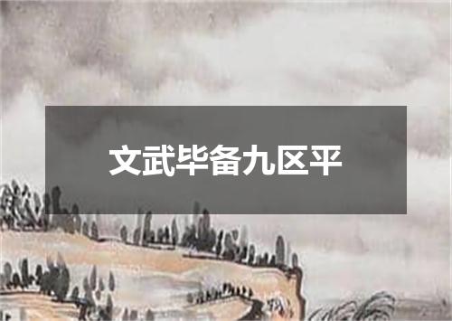 文武毕备九区平