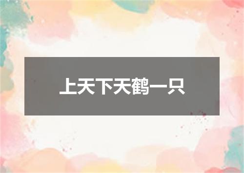 上天下天鹤一只