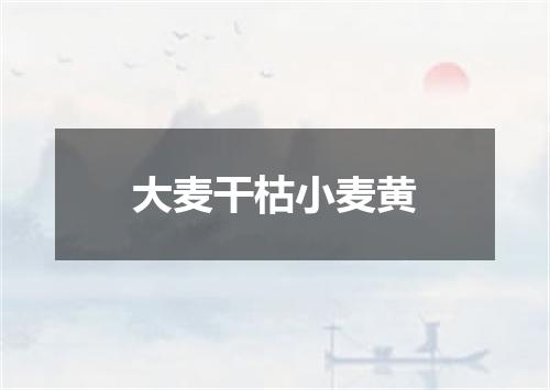 大麦干枯小麦黄