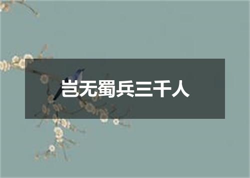 岂无蜀兵三千人