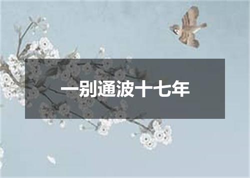 一别通波十七年