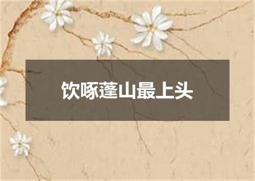 饮啄蓬山最上头