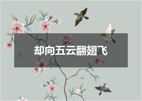 却向五云翻翅飞