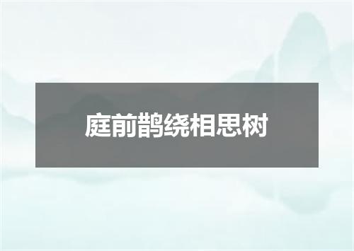庭前鹊绕相思树