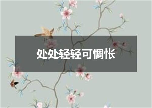 处处轻轻可惆怅