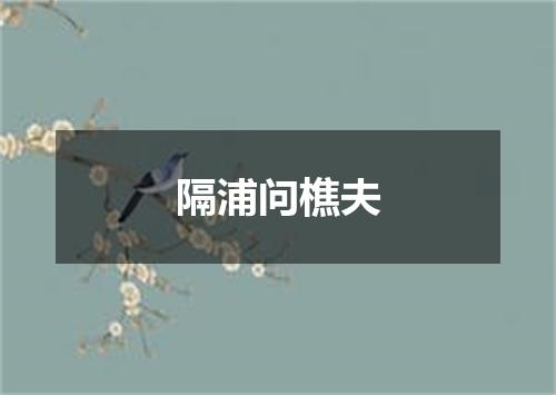 隔浦问樵夫
