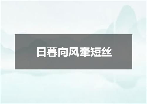 日暮向风牵短丝