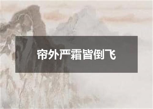 帘外严霜皆倒飞