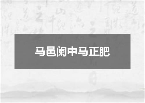 马邑阑中马正肥