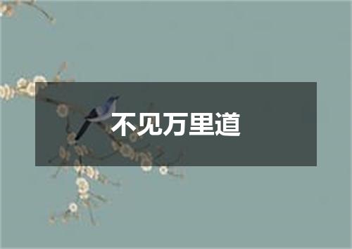 不见万里道