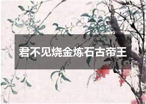 君不见烧金炼石古帝王