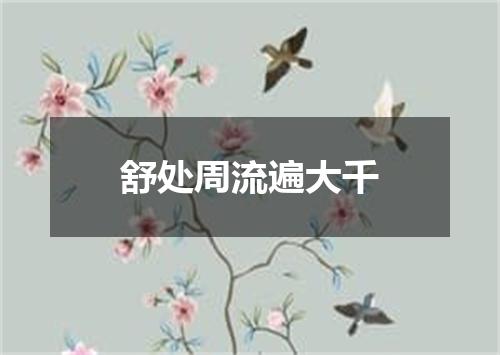 舒处周流遍大千