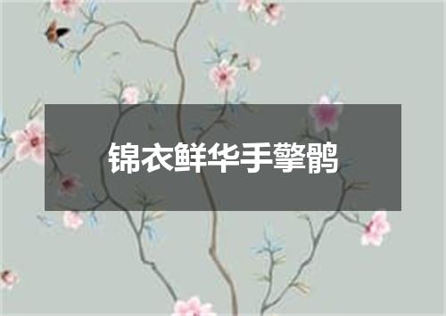 锦衣鲜华手擎鹘