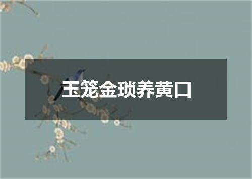 玉笼金琐养黄口