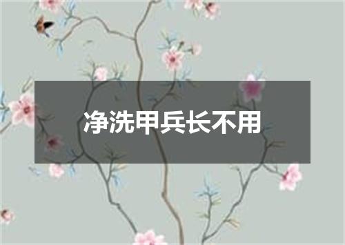 净洗甲兵长不用