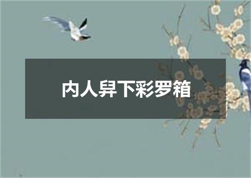 内人舁下彩罗箱
