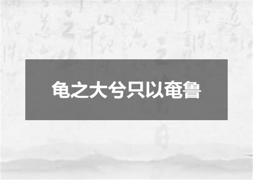龟之大兮只以奄鲁