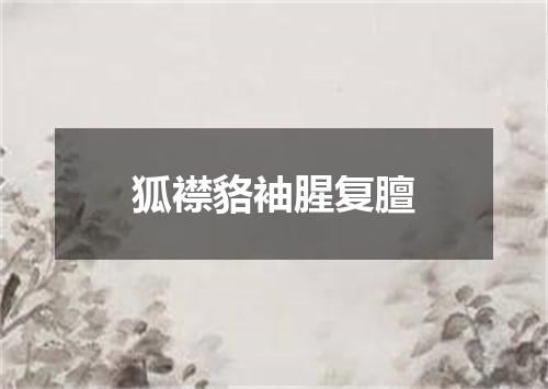 狐襟貉袖腥复膻