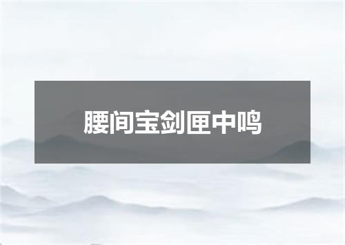 腰间宝剑匣中鸣