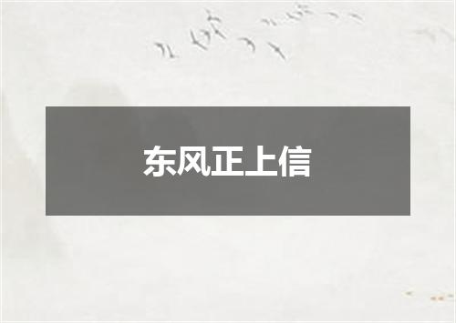 东风正上信