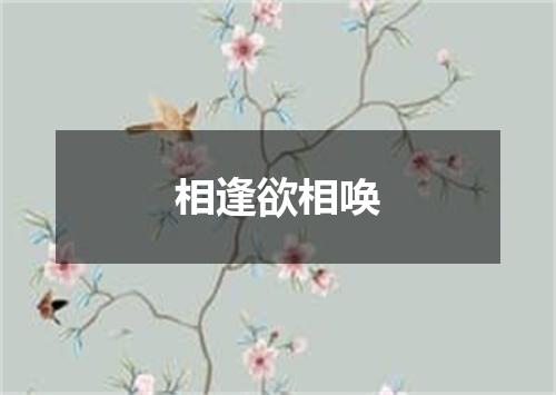 相逢欲相唤