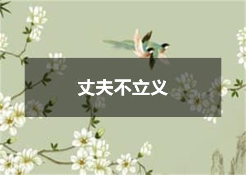 丈夫不立义