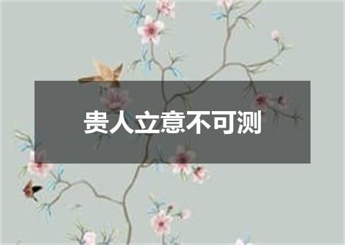 贵人立意不可测