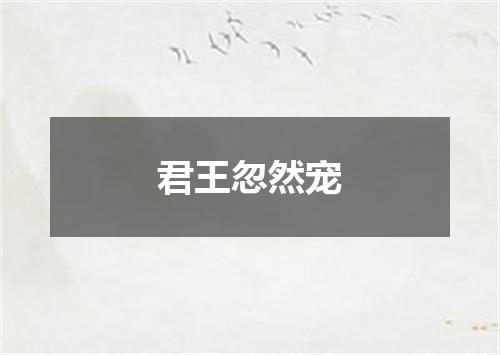 君王忽然宠