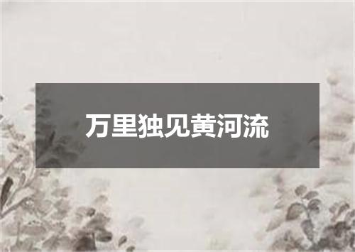 万里独见黄河流