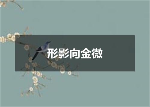 形影向金微