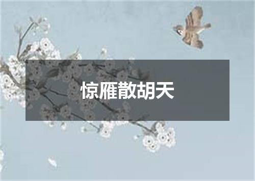 惊雁散胡天
