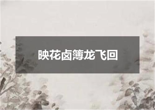 映花卤簿龙飞回