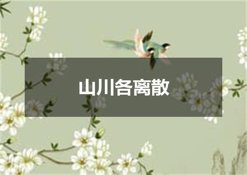 山川各离散