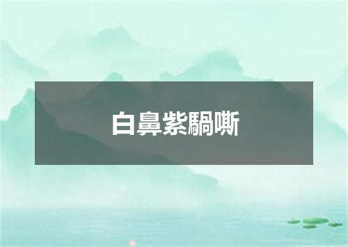 白鼻紫騧嘶