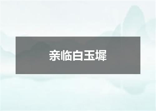 亲临白玉墀