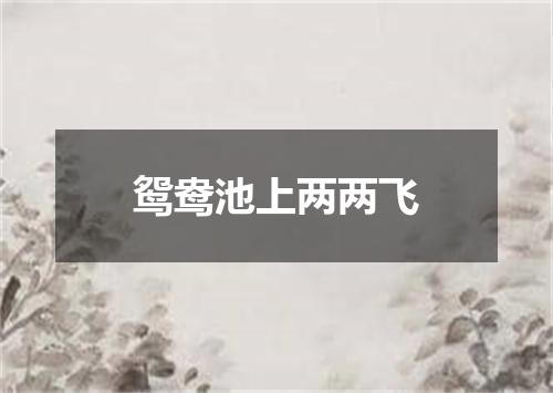 鸳鸯池上两两飞