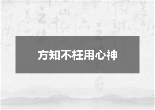 方知不枉用心神