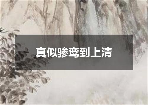 真似骖鸾到上清