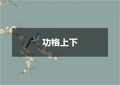 功格上下