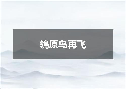 鴒原鸟再飞