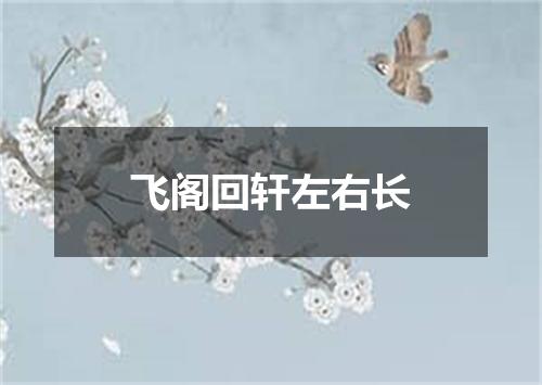 飞阁回轩左右长