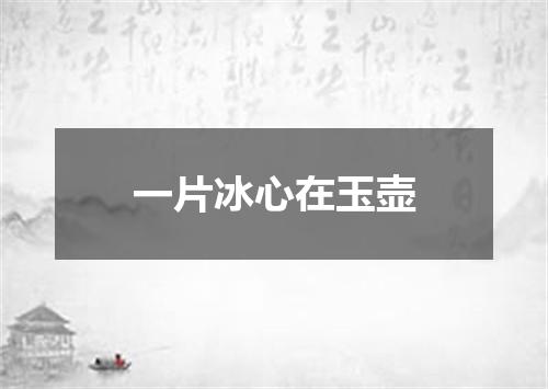一片冰心在玉壶