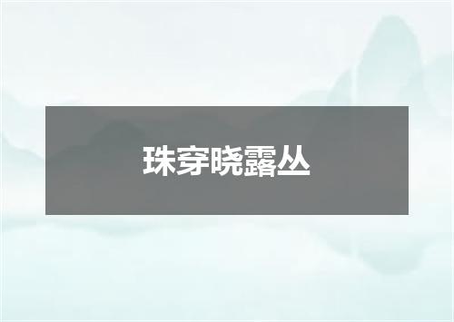 珠穿晓露丛