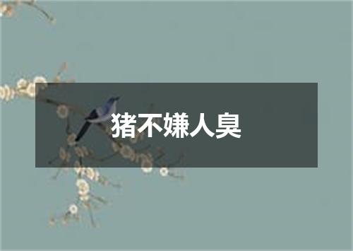 猪不嫌人臭