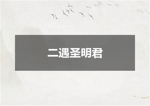 二遇圣明君
