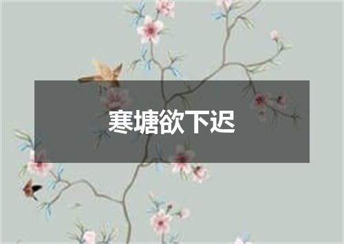 寒塘欲下迟