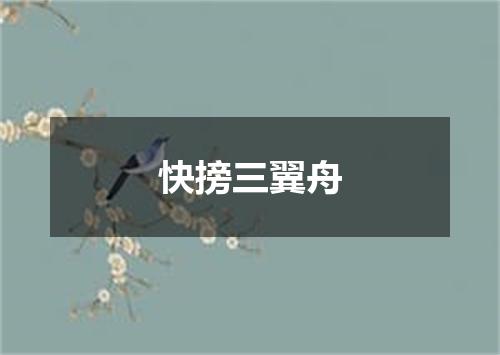 快搒三翼舟