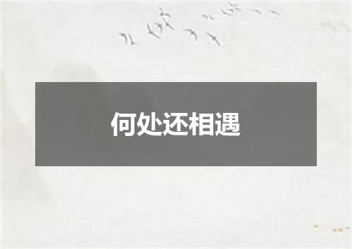 何处还相遇