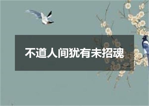 不道人间犹有未招魂