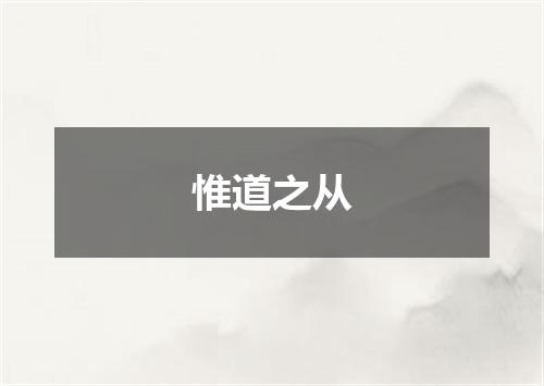 惟道之从